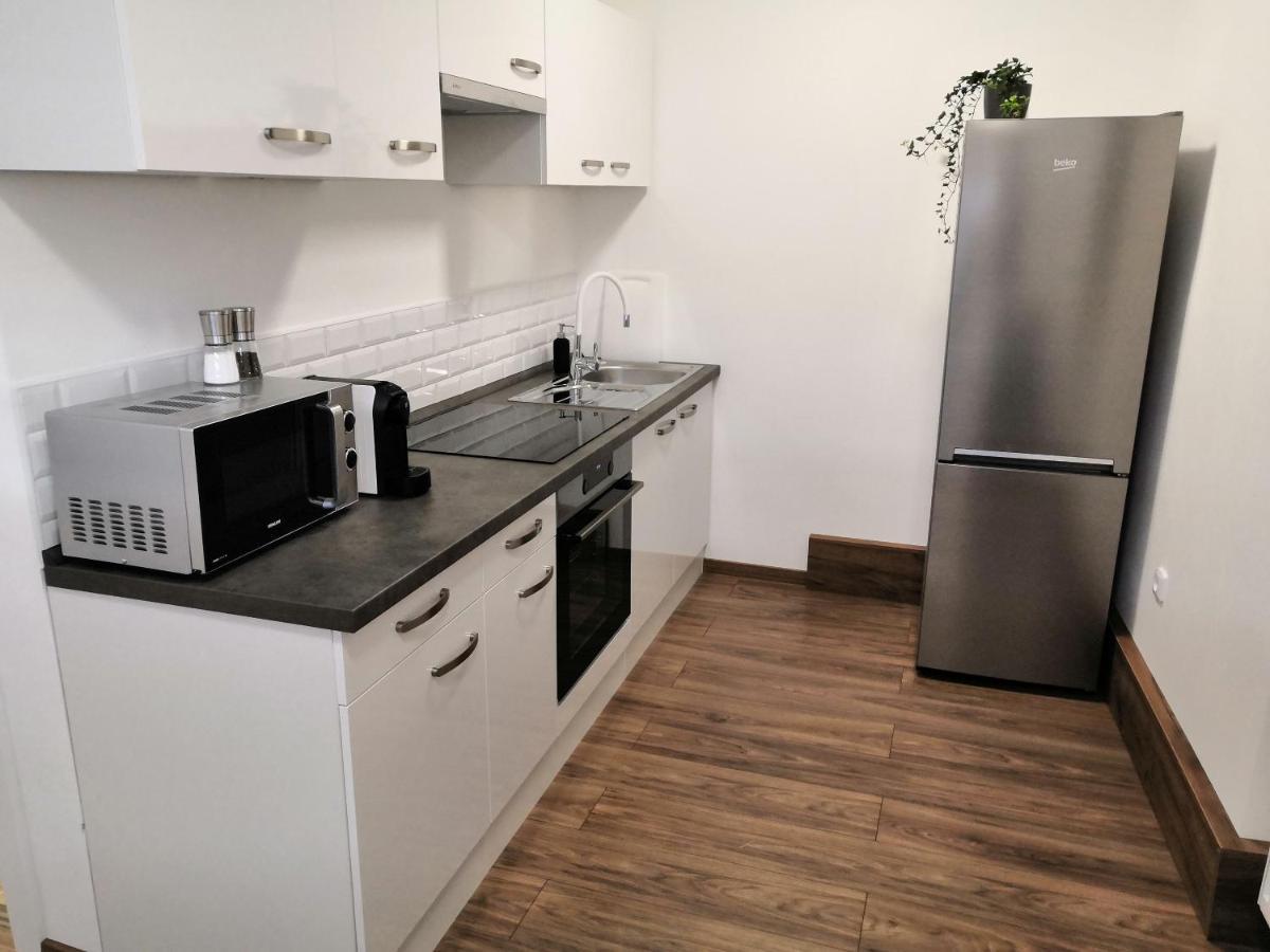 Apartment Slo. Bakov nad Jizerou